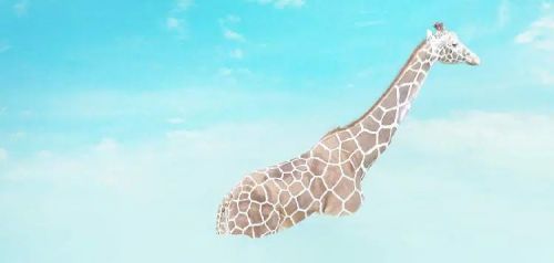 آموزش طراحی موجود خیالی در فتوشاپ